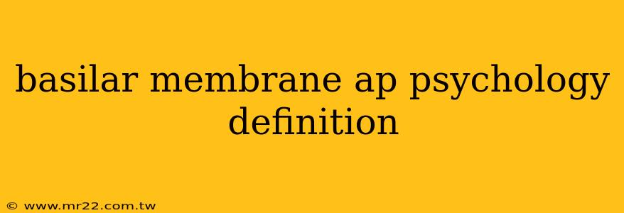 basilar membrane ap psychology definition