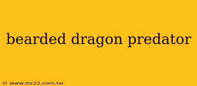 bearded dragon predator