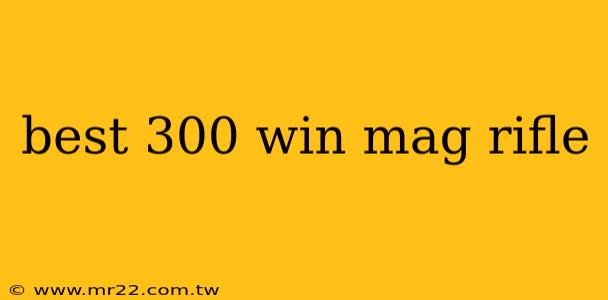 best 300 win mag rifle