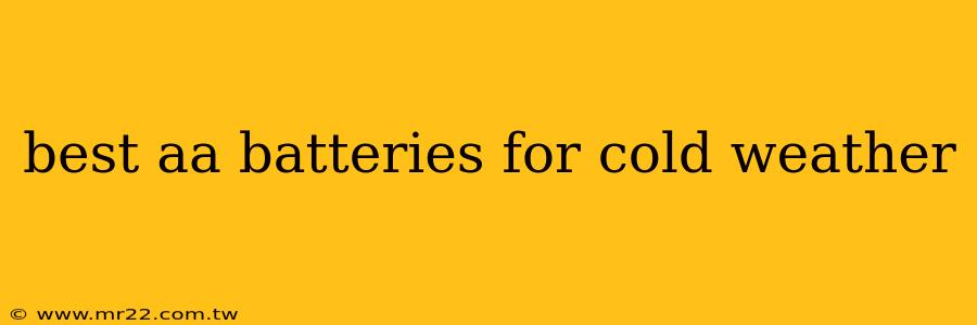 best aa batteries for cold weather