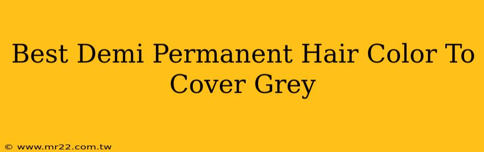 Best Demi Permanent Hair Color To Cover Grey