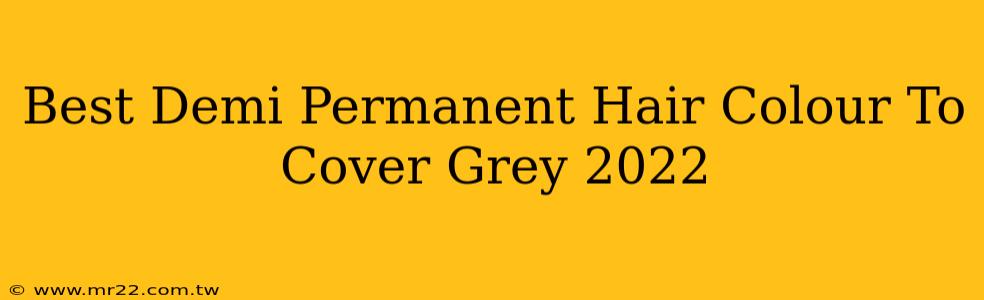 Best Demi Permanent Hair Colour To Cover Grey 2022