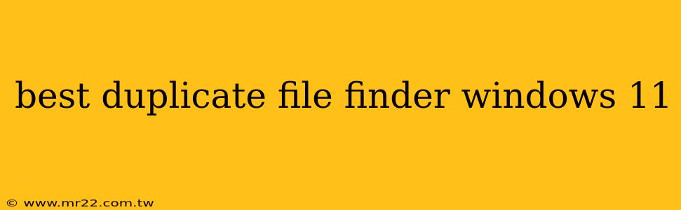 best duplicate file finder windows 11