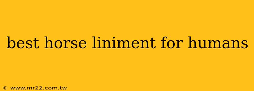 best horse liniment for humans