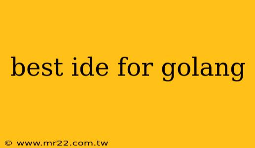 best ide for golang