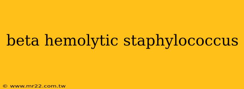 beta hemolytic staphylococcus