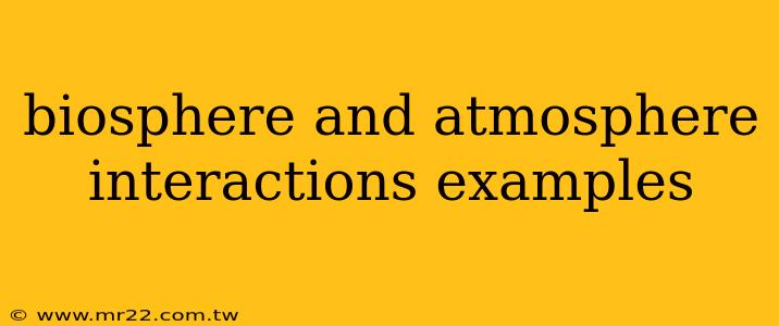 biosphere and atmosphere interactions examples