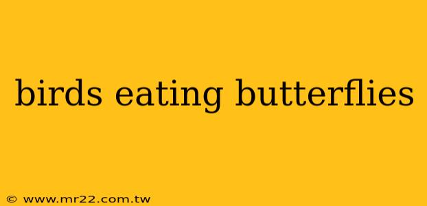 birds eating butterflies