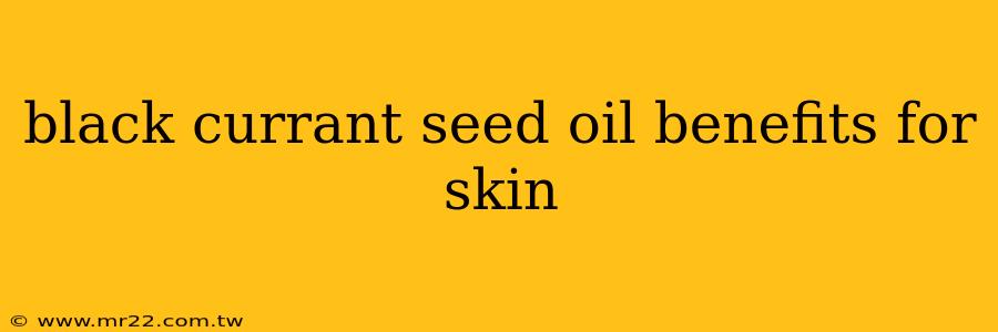 black currant seed oil benefits for skin