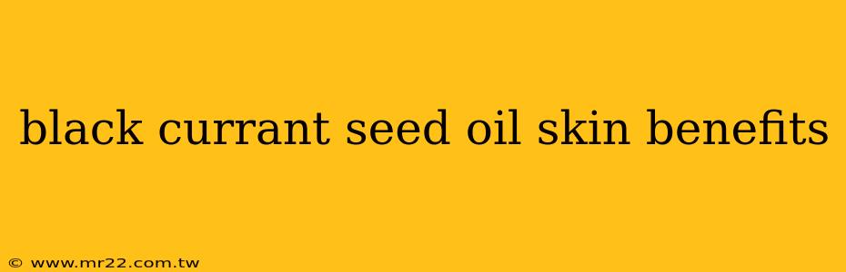 black currant seed oil skin benefits