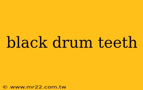 black drum teeth