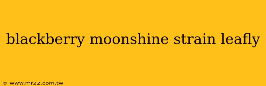 blackberry moonshine strain leafly