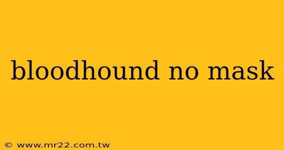 bloodhound no mask