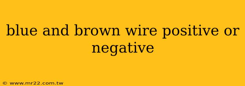 blue and brown wire positive or negative