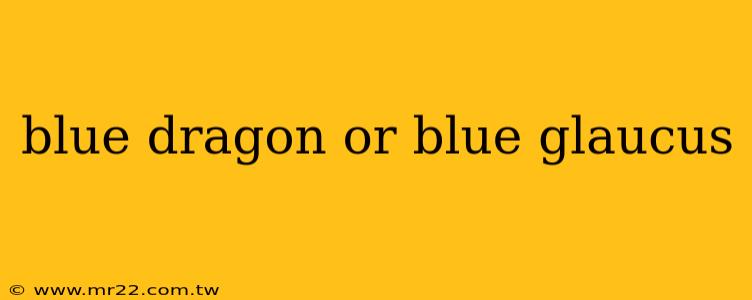 blue dragon or blue glaucus