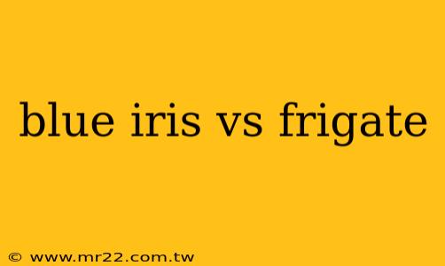 blue iris vs frigate