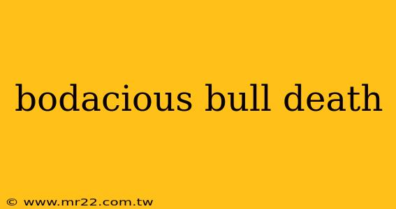 bodacious bull death