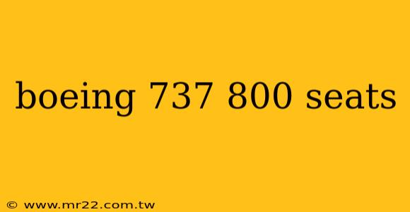 boeing 737 800 seats