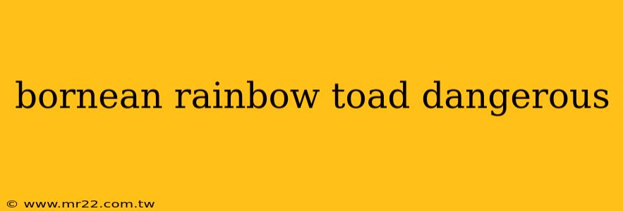 bornean rainbow toad dangerous