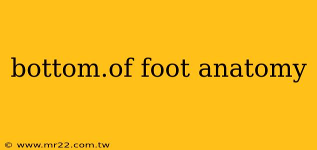 bottom.of foot anatomy