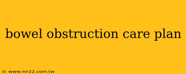 bowel obstruction care plan