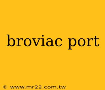 broviac port