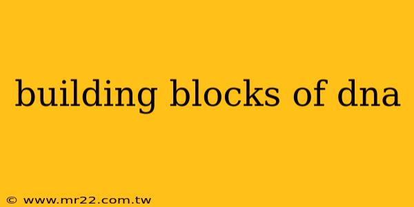 building blocks of dna