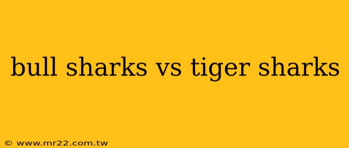 bull sharks vs tiger sharks