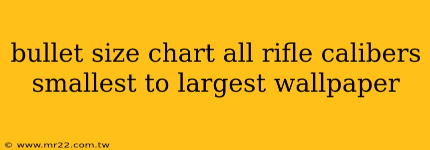 bullet size chart all rifle calibers smallest to largest wallpaper