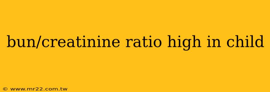 bun/creatinine ratio high in child