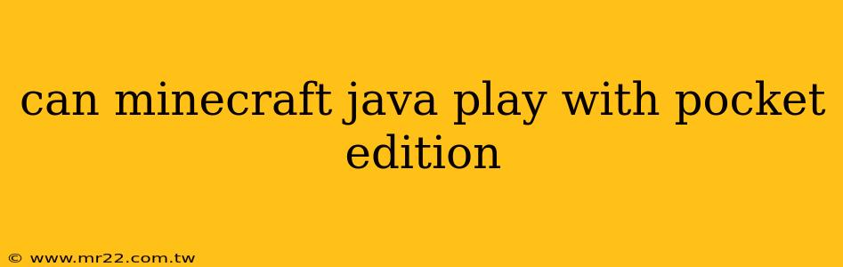 can minecraft java play with pocket edition