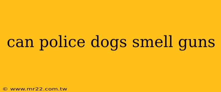 can police dogs smell guns