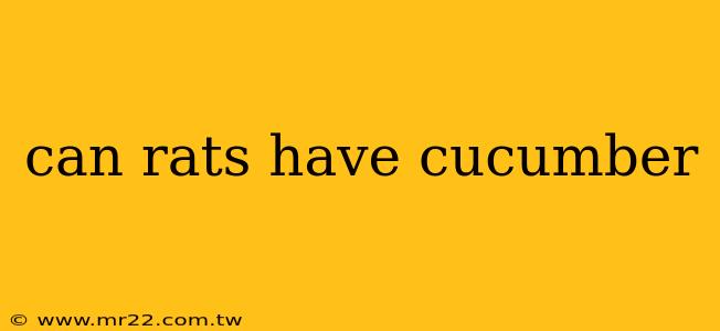 can rats have cucumber