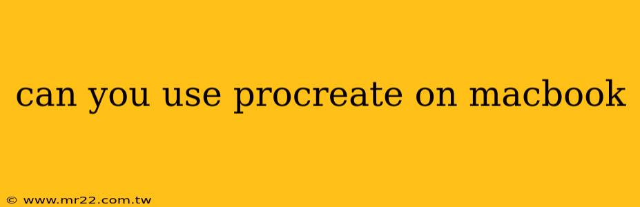 can you use procreate on macbook