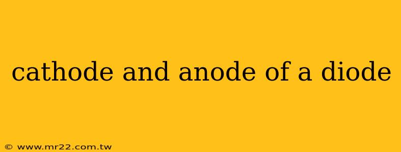 cathode and anode of a diode