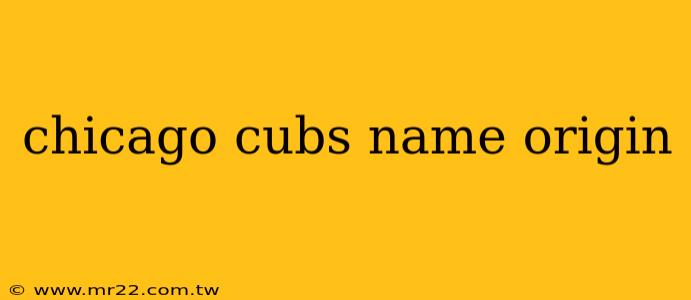 chicago cubs name origin