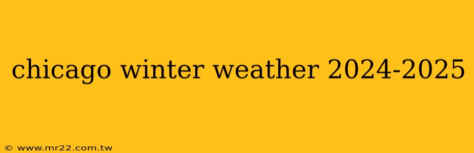 chicago winter weather 2024-2025