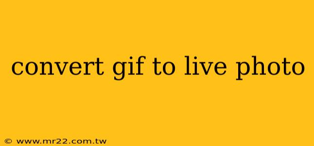 convert gif to live photo