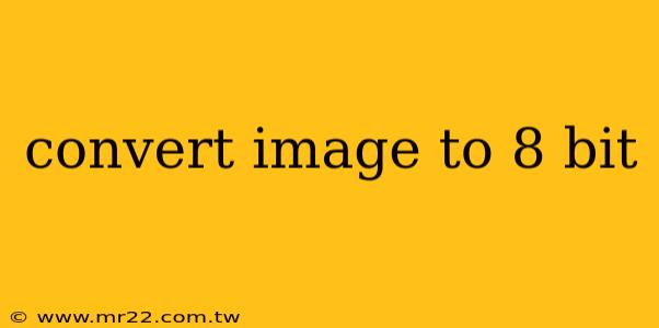 convert image to 8 bit