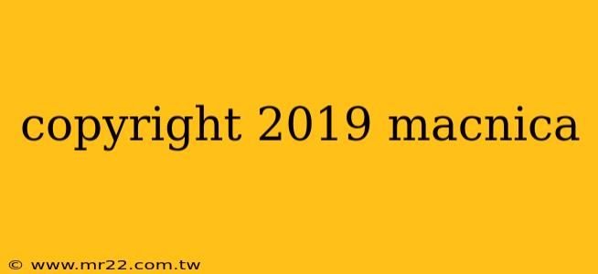 copyright 2019 macnica