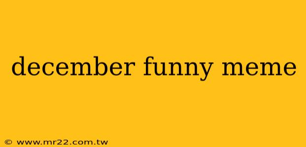 december funny meme