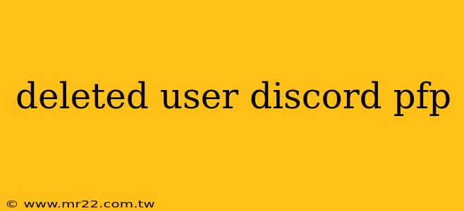 deleted user discord pfp