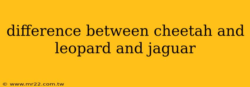 difference between cheetah and leopard and jaguar