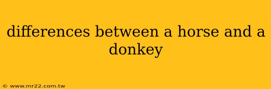 differences between a horse and a donkey