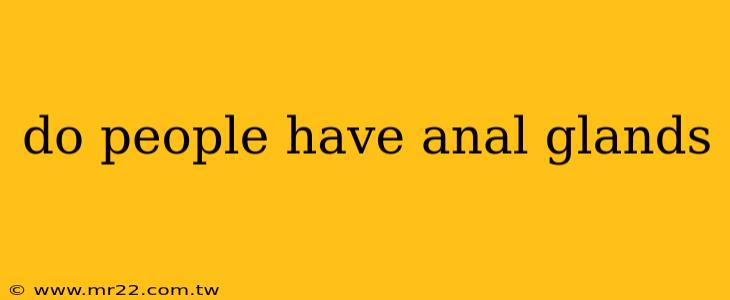 do people have anal glands