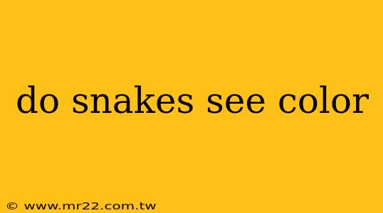 do snakes see color