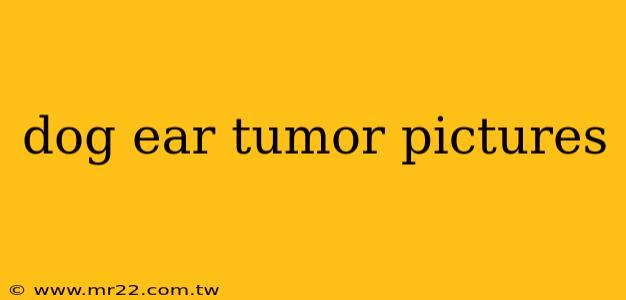 dog ear tumor pictures