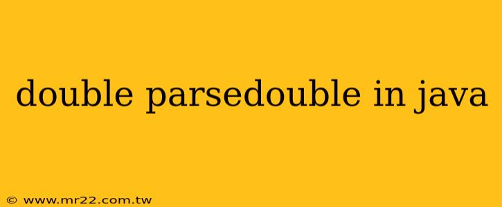 double parsedouble in java