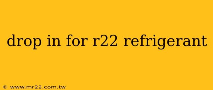 drop in for r22 refrigerant