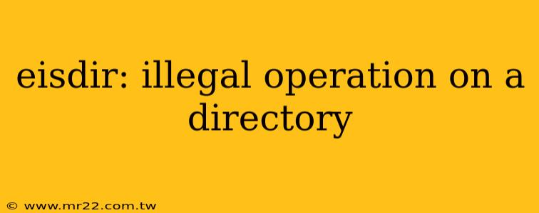 eisdir: illegal operation on a directory